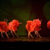 State Theatre Presents Momix Dance ompany's BOTANICA, Now thru Aug 11 Video