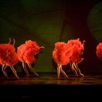 State Theatre Presents Momix Dance ompany's BOTANICA, Now thru Aug 11