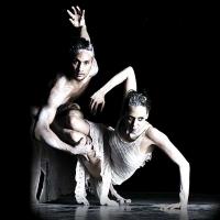 BWW Reviews: KINSHIP Is A Dance Double Bill That Both Delights And Challenges Video