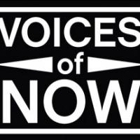 Eleven Ensembles Set for Arena Stage's 2014-15 'Voices of Now' Program Video