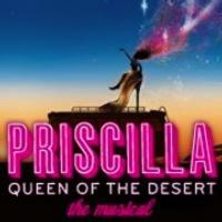 Petition Started to Bring National Tour of PRISCILLA QUEEN OF THE DESERT Back to Texa