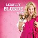 BWW Interviews: Omaha Community Playhouse's 'Elle Woods' Leanne Hill Carlson Interview
