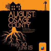 BWW Review:  AUGUST:  OSAGE COUNTY, the Best Dramatic Play in Kansas City Video