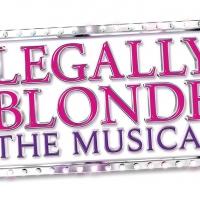 BWW Reviews: City Lights Theatre's LEGALLY BLONDE is Pink and Bubbly