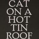 CAT ON A HOT TIN ROOF Announces Student Rush Policy Video