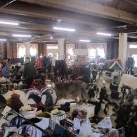 Second Annual Little York Fall Fiber Arts Festival Planned for October 12 & 13