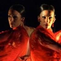 Flamenco Vivo Carlota Santana's Spring 2015 NYC Season at BAM Fisher Set for 5/19-24 Video