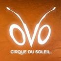 Cirque du Soleil Returns to Melbourne With OVO, Beginning January 17