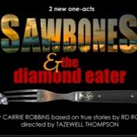 Tony Nominated Costume Designer Carrie Robbins Brings SAWBONES and THE DIAMOND EATER  Video