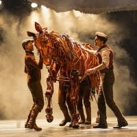 BWW Review: WAR HORSE Takes Memphis Orpheum by Storm