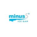 Minus5 Ice Bar To Open Inside Hilton New York in March Video