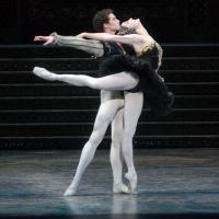 BWW Reviews: In American Ballet Theatre's SWAN LAKE the Show Must Go On Despite Injur Video