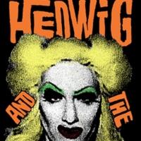 STG Season Shows On Sale Announcement: Hedwig and the Angry Inch and Jerry Springer:  Video