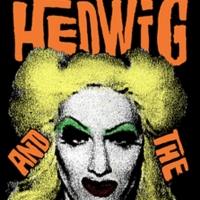 STG Season Shows On Sale Announcement: Hedwig and the Angry Inch and Jerry Springer…