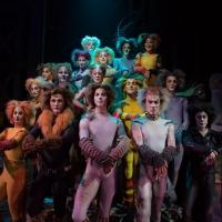 Photo Flash: First Look at Charles Azulay, Ma-Anne Dionisio & More in the Canadian Production of CATS