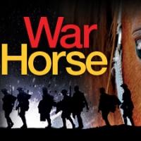 BWW Interviews: WAR HORSE National Tour's Megan Loomis