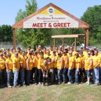 Miranda Lambert And PEDIGREE Brand Unite To Help Shelter Dogs