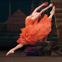 American Ballet Theatre Announces First Two Weeks of 2014 Spring Season Casting Video