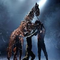 BWW Reviews: Horsing Around with WARHORSE Video
