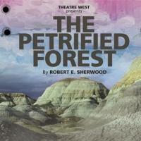 BWW Reviews: THE PETRIFIED FOREST is a Clever Mash-Up of a Love Story, Gangster Tale, Video