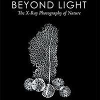 Albert Koetsier Shares X-Rays of Nature in New Book