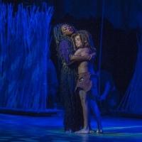 Photo Flash: First Look at Felicia Boswell, Nicholas Rodriguez & More in Lyric…