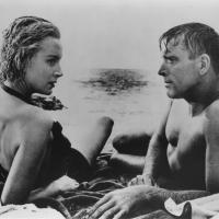 JAWS, CABARET, MY FAIR LADY, THE KID and More Set for 2015 CAPA Summer Movie Series