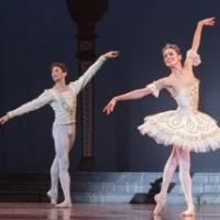 Festival Ballet Providence Presents the 37th Annual NUTCRACKER This Weekend