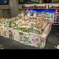 Guinness World Record Winner GingerBread Lane to Give Away All 161 Houses and More, J