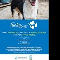 Lucky Dog Animal Rescue's The Lucky Ones to Premiere This Sunday, January 26 Video