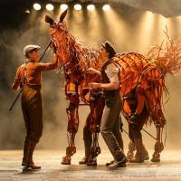 Tickets to WAR HORSE's 2014 Run at Bob Carr Performing Arts Centre On Sale this Frida Video