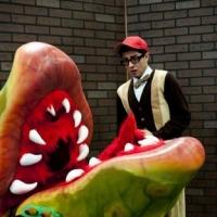 Sewickley Area Theatre Co. Presents LITTLE SHOP OF HORRORS Video