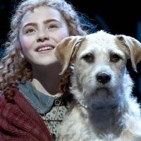 Lilla Crawford & More Take Final Bows in ANNIE Today Video