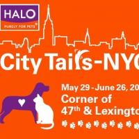 Ellen DeGeneres' Pet Food Line HALO to Take to NYC Streets for 'Pop Up Shops' Video