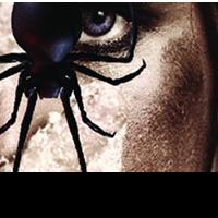 BWW Reviews: DANCE OF THE WASP AND SPIDER Premieres at Capital Fringe Video