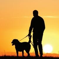 Aratana Therapeutics Announces Conditional Approval of Second Canine-Specific Antibod Video