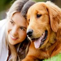 Reno Dog Training Author Opens First Of Several Dog Training Locations In Nevada Video