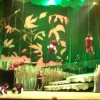 TV: Felicia Boswell, Nicholas Rodriguez & More in Highlights of Lyric Theatre's…