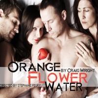 25 PLAYS PER HOUR, ORANGE FLOWER WATER and More Set for Hollywood Fringe 2013 Video
