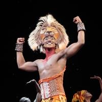 Disney's THE LION KING Grosses Over $11.75 Million During 7 Week Toronto Engagement