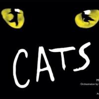 bergenPAC to Offer Sneak Peek of the Performing Arts School's CATS, 7/15 Video