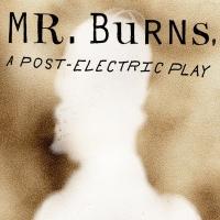 Discounted Pre-Sale Tickets for Playwrights Horizons' MR. BURNS Now On Sale Video