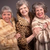 Meadow Brook Theatre to Stage 70, GIRLS, 70, 5/29-6/23 Video