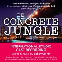 Kate Shindle, Gerard Canonico and More Set for Bobby Cronin's CONCRETE JUNGLE Album R Video