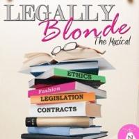 LEGALLY BLONDE THE MUSICAL Opens at Stages St. Louis Tonight Video