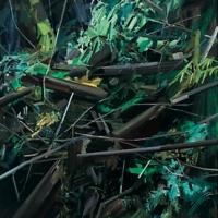 WOODS, LOVELY, DARK AND DEEP Opens Today at DC Moore Gallery Video