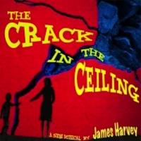James Harvey's THE CRACK IN THE CEILING Set for NYMF at Theatre Row's The Studio, 7/1 Video