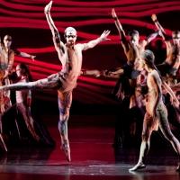 BWW Review: Houston Ballet's Must See Primal RITE OF SPRING is Riveting Video