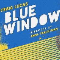 BWW Reviews: Inventive Space and Witty Language in Brown Box Theatre Project's BLUE W Video