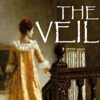Conor McPherson's THE VEIL to Receive U.S. Premiere at Quotidian Theatre Company…